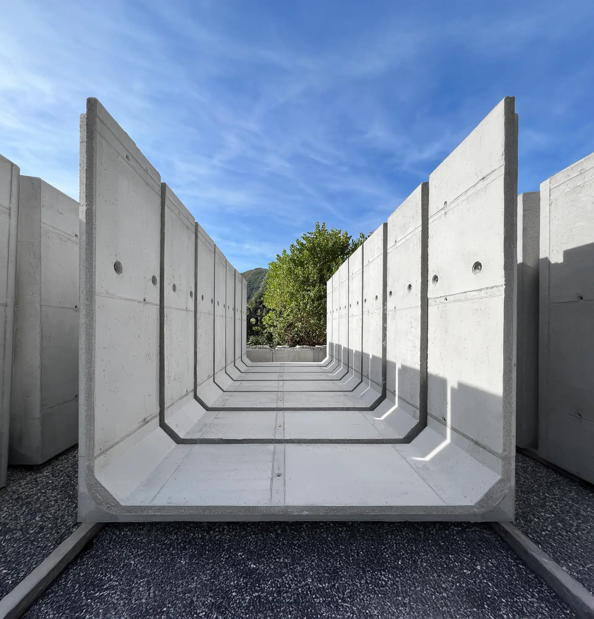 Scatolari<br class='lg:hidden block'/> Aperti